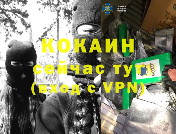 дживик Заводоуковск